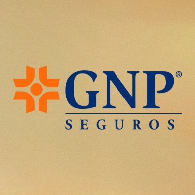 GNP Seguros Profile