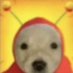 Bendy Zard (@bendyzard_001) Twitter profile photo Bendy Zard (@bendyzard_001) Twitter profile photo