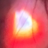 preston (@psheppp) 's Twitter Profile