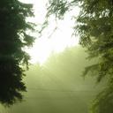 Rebekah Reads - @RebekahRead2 - Twitter