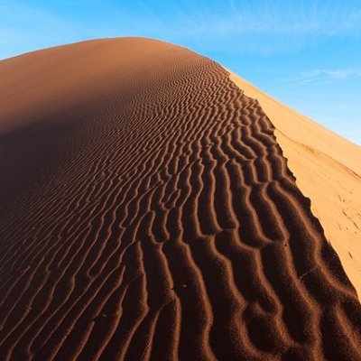 nuoooo09's profile picture. PR