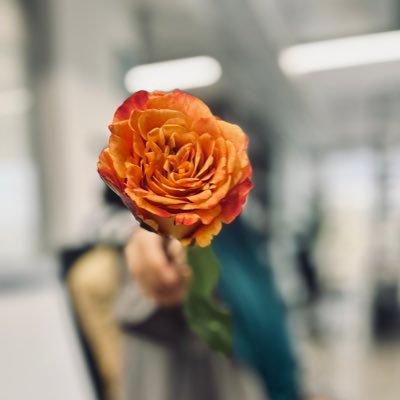 «إِن أُريدُ إِلَّا الإِصلاحَ مَا استَـطَعتُ» || IT Student👩🏻💻