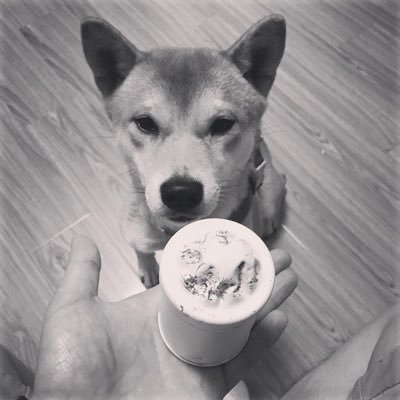 Chloe_Chen_2022's profile picture. 我是一隻旷野的鸟，在你的眼里找到了天空——陳文雄