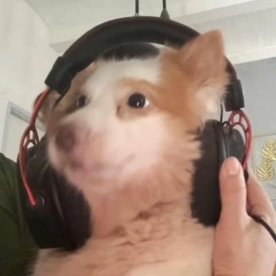 wenagurl's profile picture. J'aime la vie... La vie est belle!