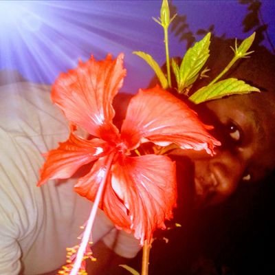 DavidMichealke's profile picture. Trust the process !