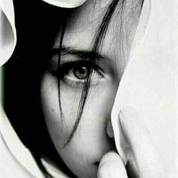 AnilaKhan (@anilakhan_) 's Twitter Profile