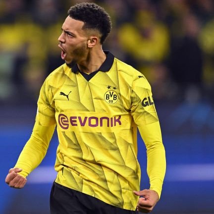 Lucasasin71's profile picture. Borussia Dortmund fan from Romania💛🖤💛