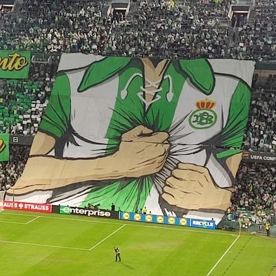 ToronjoC's profile picture. Equitación y Real Betis Balompié