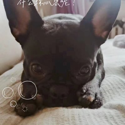 Np8HDZHSyU11899's profile picture. 