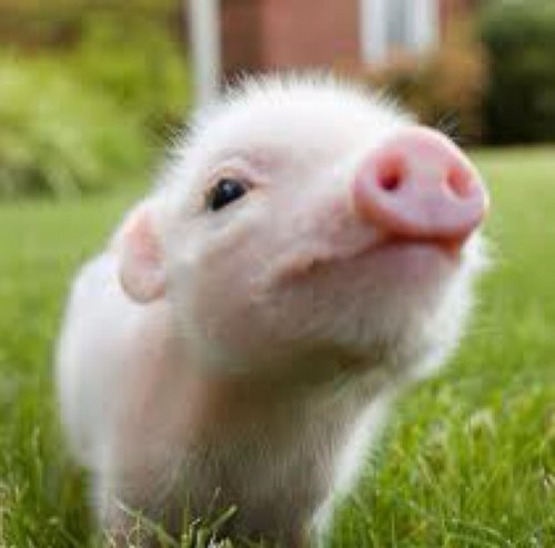 yongwenn's profile picture. You need to learn to be happy by nature, because you'll seldom have the chance to be happy by circumstances.