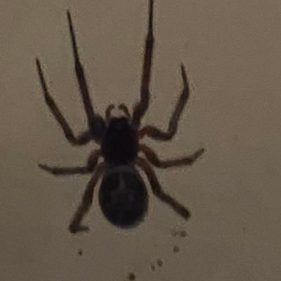 dorsetappliance's profile picture. 