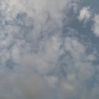 nqpeihg (@wopwowow) 's Twitter Profile