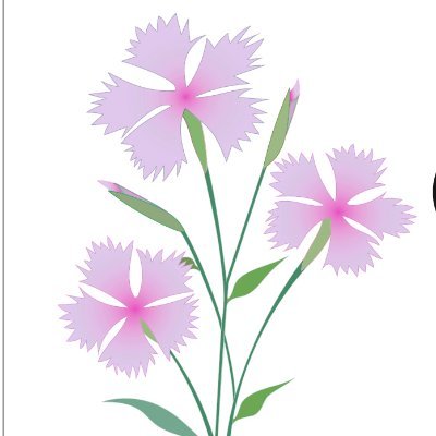 DianthusRes's profile picture. Research consultancy based in Latvia