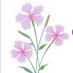 Dianthus Research Ltd. (@dianthusres) Twitter profile photo Dianthus Research Ltd. (@dianthusres) Twitter profile photo