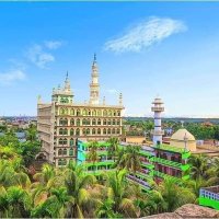 Wolfing Denae (@wdenae89720) 's Twitter Profile