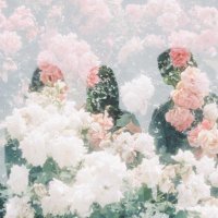 roi bob (@roibob_b) Twitter profile photo