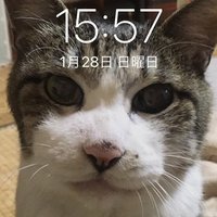 ガチ野良 (@grgpo3hmyp53553) 's Twitter Profile Photo ガチ野良 (@grgpo3hmyp53553) 's Twitter Profile Photo