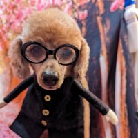 daiきち (@dai54495116) 's Twitter Profile Photo daiきち (@dai54495116) 's Twitter Profile Photo