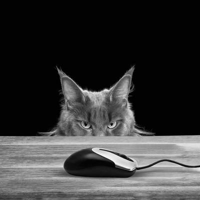 Gabuspike2's profile picture. No Bio 🇰🇪