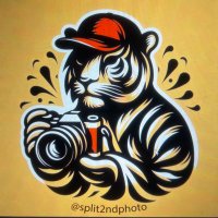 Split Second Photo (@split2ndphoto) 's Twitter Profile Photo Split Second Photo (@split2ndphoto) 's Twitter Profile Photo