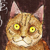 Nomnom_ Boy (@nomnom_boy63900) 's Twitter Profile