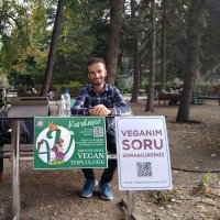 Can Yıldırım (@diaryofphysicst) 's Twitter Profile