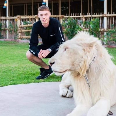 ThuLay104164's profile picture. 