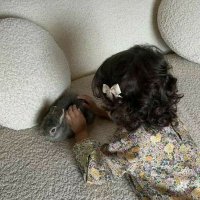 L (@vx0e0) Twitter profile photo