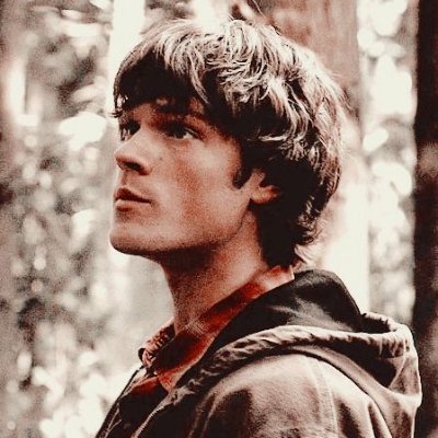 samwinchstr7's profile picture. ✧ 𝑹𝑷 ✦ #supernatural || 𝑭𝒂𝒖𝒙 𝑨𝒄𝒄𝒐𝒖𝒏𝒕 #spnrp ✧