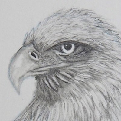 kwcpainter's profile picture. 