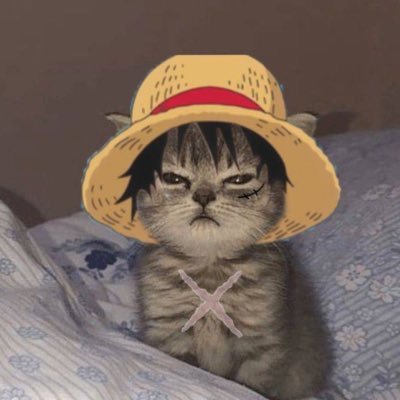 paragonwifhat's profile picture. work...degen...trader