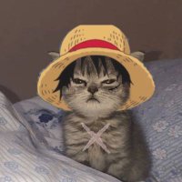 paragon (@paragonwifhat) Twitter profile photo