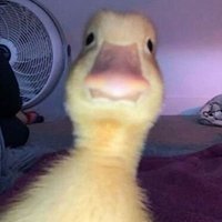 N ? (@wipeurowntears) 's Twitter Profile Photo N ? (@wipeurowntears) 's Twitter Profile Photo
