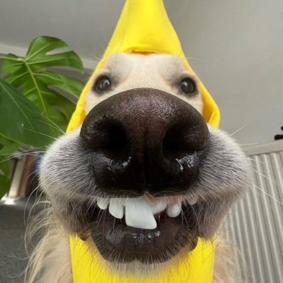 Erwinsmith7111's profile picture. พี่ชายไนเจล