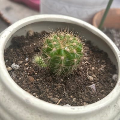 r9hzvg9r9v's profile picture. 16歳男