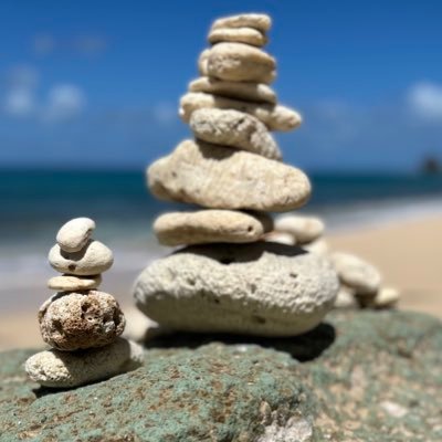 nun07328099's profile picture. Soccer ⚽️. Travel 🏝. Politics 👀.