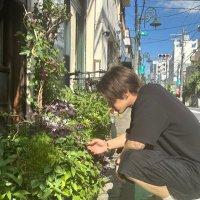 R π (@r_island17) 's Twitter Profile