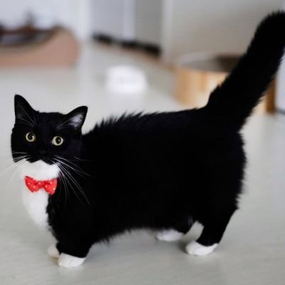 HeavyBro05's profile picture. 