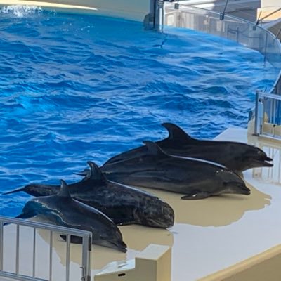 TakapyRp04's profile picture. 