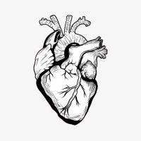 Tinta Plastisol (@tintaplastisol) 's Twitter Profile Photo Tinta Plastisol (@tintaplastisol) 's Twitter Profile Photo