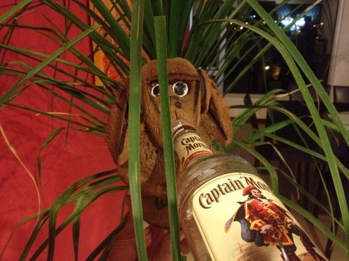 erendono's profile picture. 