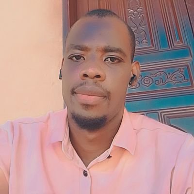 david_ugwuson78's profile picture. Python Devs