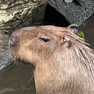 jeieiさんのプロフィール画像