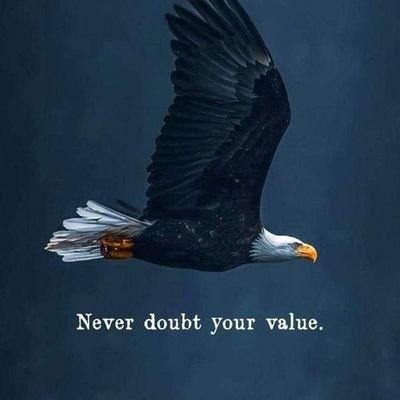 bozza094booza's profile picture. 