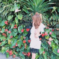 ちはや (@bunker80360) 's Twitter Profile