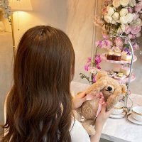 まゆか (@candy_math17874) 's Twitter Profile