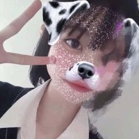 千秋 (@cavedannye95762) 's Twitter Profile