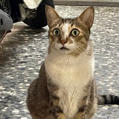 wichngln2054596's profile picture. 