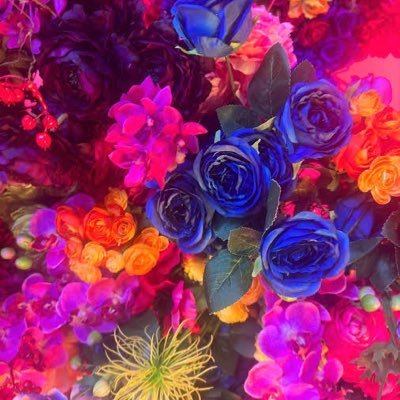 mococo_fmf's profile picture. 30↑病気の情報収集アカウント セーラームーン、ディズニー等お取引でも使用します。取引終了後は個人情報削除お願いいたします。