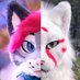 Toilet paper kitty🥴➡️ LVFC (@toiletpaprkitty) Twitter profile photo Toilet paper kitty🥴➡️ LVFC (@toiletpaprkitty) Twitter profile photo